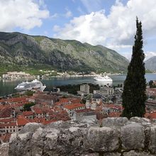 ５分だけ登った所でもこの景色