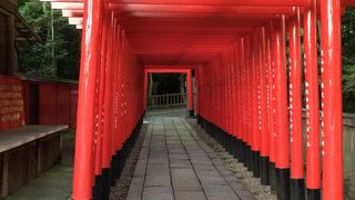 赤い鳥居が並んでいます