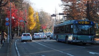 市中心部の１００円バスは有用