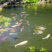 カイザースラウテルンにある日本風の庭園