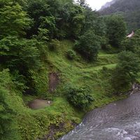 野瀬川沿い。朝、目の前を鷹？が横切った