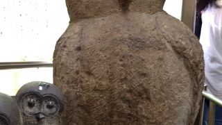 渋谷のハチ公には遠く及ばない