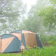 F6サイトの風景