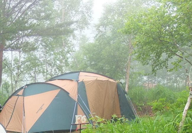 自然溢れるキャンプ場