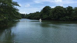 武蔵野三大湧水池のひとつ