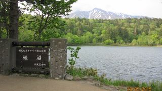 利尻の花と利尻富士が素晴らしい