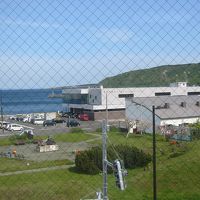 部屋から鴛泊港がまじかに見える