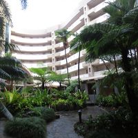 中庭。池に魚が泳いでます。