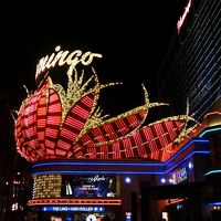 有名すぎる、フラミンゴのネオン。