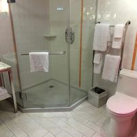 バスタブはありませんでした。