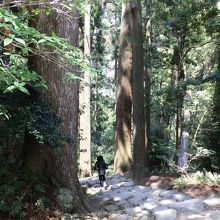 那智大瀧に下る、鎌倉積の石段。足元に注意。