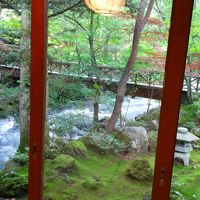 茶室からの庭園