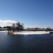 池があってひろびろ！