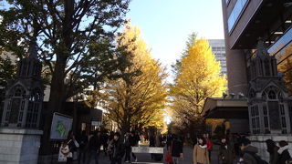 紅葉も美しいです