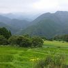 熊野古道の宿　霧の郷たかはら