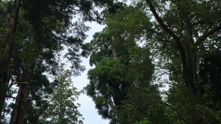 写真撮影禁止です！