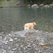 熊野古道近くの清流