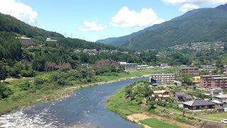 魚がちらほら見えます