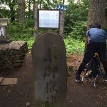 天上山の山頂。