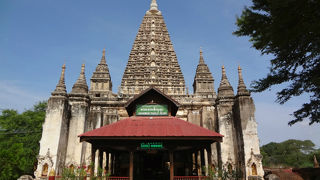 珍しい形の建物です。