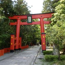 熊野速玉大社の大鳥居。