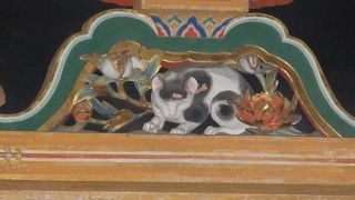 【眠り猫】リアル