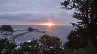 最後の最後で見れました