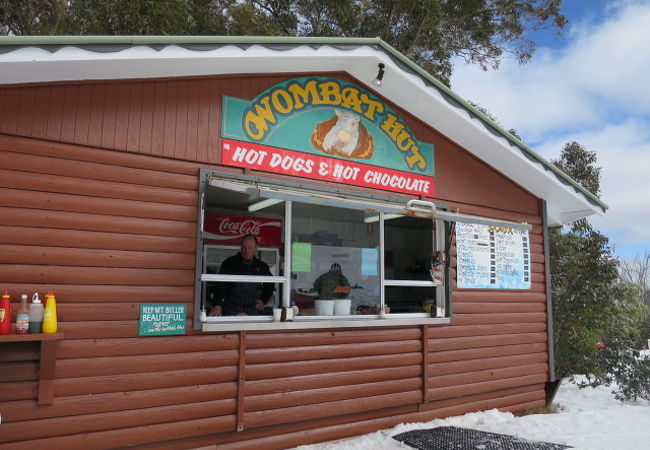 ウォンバットハット