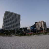 この左側のホテルっす。