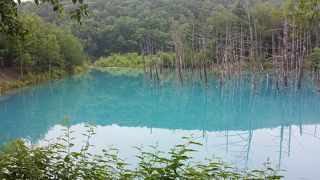 青い池