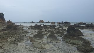 泳ぐのには不向き