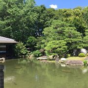 京都駅から徒歩圏内の広くて美しい庭園
