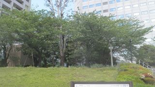 隅田川のほとり