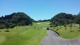 今回も素晴らしコースコンディションでした