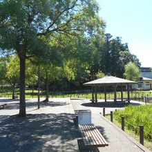 駐車場からプールへ。緑の多い公園です。