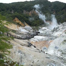 かなり臭いが強かったです。