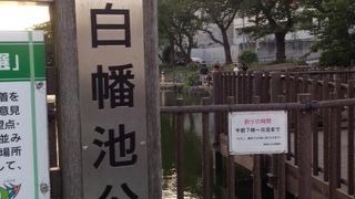 春夏秋冬、太公望の姿が見られる公園です。