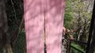 茄子のはな 洋の別邸オーベルジーヌ