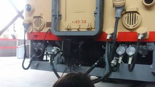 無料解放日でした