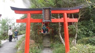 箱根の楽しみ方の一つ