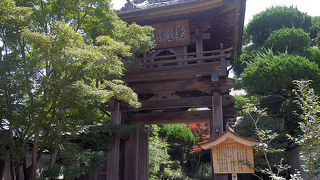 樹木が鬱蒼と茂る庭