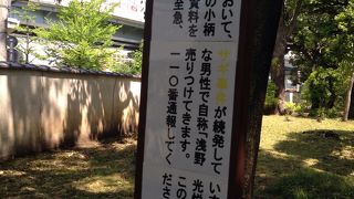 国技館のスグ近くの庭園　旧安田庭園