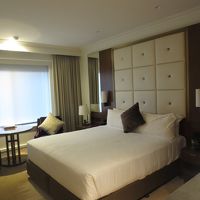 結構ゆったりしてます