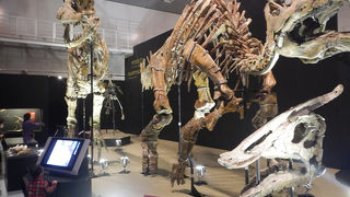 小学生になったらもっと楽しめそう