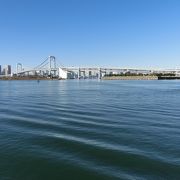 東京湾の水も意外と綺麗でした