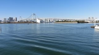 東京湾の水も意外と綺麗でした