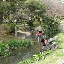 出水の小川で遊ぶ子供たち