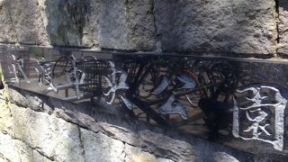 横浜駅西口近くの豊かな緑のある公園です。