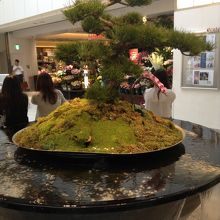 噴水がありました