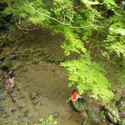 駅前は暑かったが滝まで行くと涼しい。